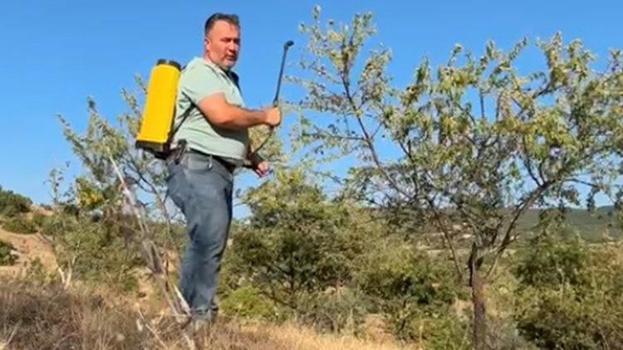 28 yıl boyunca bekledi, sonunda hasat sevincini yaşadı! İlk kez ürün aldılar