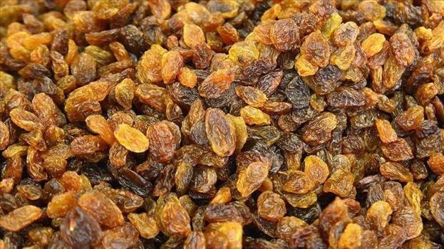 Çekirdeksiz kuru üzüm alım fiyatları belli oldu! TMO açıkladı