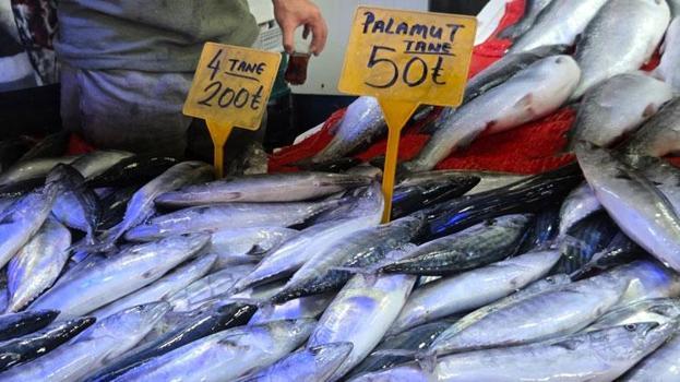 Karadeniz'de balık bolluğu sürüyor! Palamut bedavadan biraz daha pahalı: Tanesi 50 TL