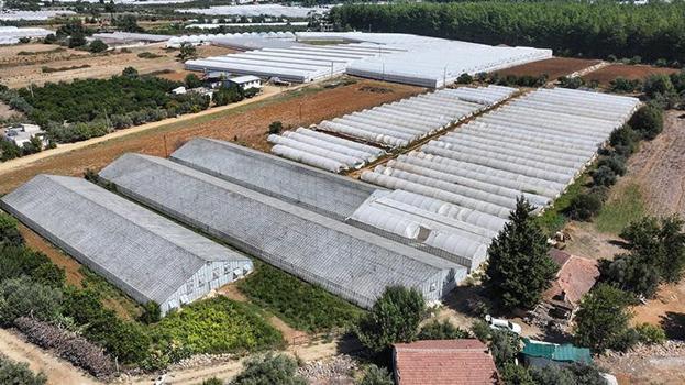 Antalya’da seralarda büyük dönüşüm başlıyor! 200 bin dekar alan 6 yılda yenilenecek