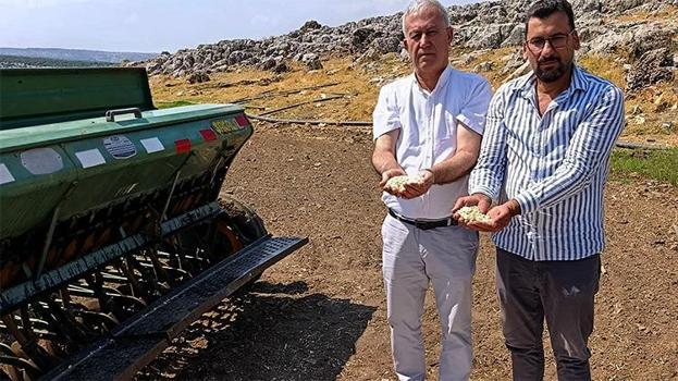 Gaziantep Araban’da yerli tohum hamlesi: Zambak Anaç Sarımsak ekimi yapıldı