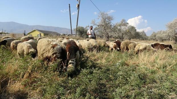 Aylık 80 bin TL'ye kabul etti: Günlük 10 litre su tüketiyor