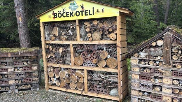 Bolu'da açıldı, Türkiye'de bir ilk oldu: Orman Okulu hizmete girdi