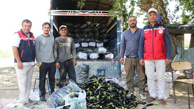 Siirt'te TAKE projesi meyvelerini veriyor: 71 üreticinin emek verdiği tarlalarda hasat sezonu başladı!