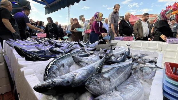 Palamut ve hamsiye yoğun ilgi! Tezgahlarda metrelerce kuyruk oluştu