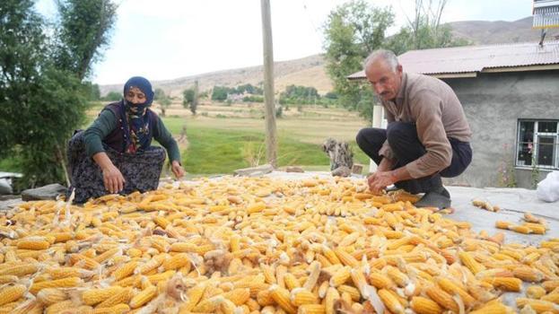 Orakla biçip sopayla ayırıyorlar: Dededen miras kaldı, Türkiye'nin her yerinden sipariş yağıyor
