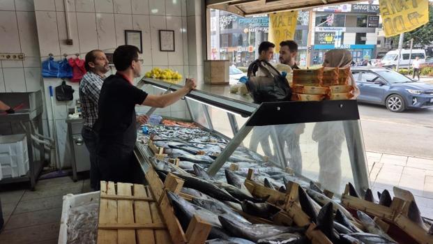 Sezonun gözdesi oldular! Palamut ve hamsi tezgahları şenlendirdi