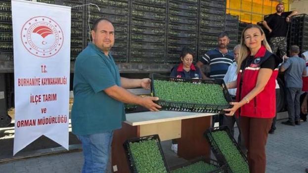 Balıkesir’de tarlalar yeşerecek! Çiftçiye yüzde 75 hibeli dağıtıldı