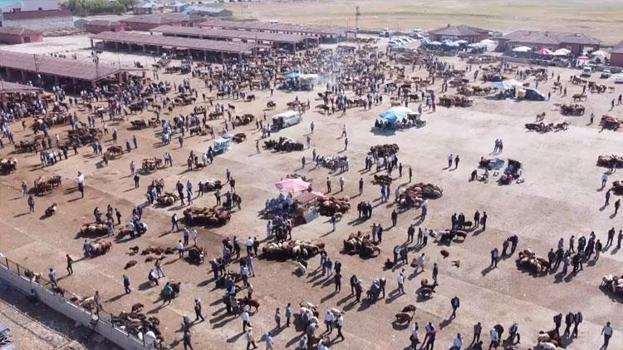 Ağrı Hayvan Borsası şap hastalığı nedeniyle 30 gün süreyle kapatıldı