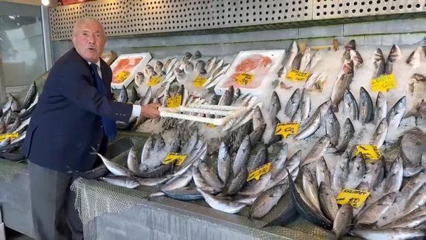 Balık tezgahlarında bereket! Hamsi 200, palamut 100 liradan başlıyor