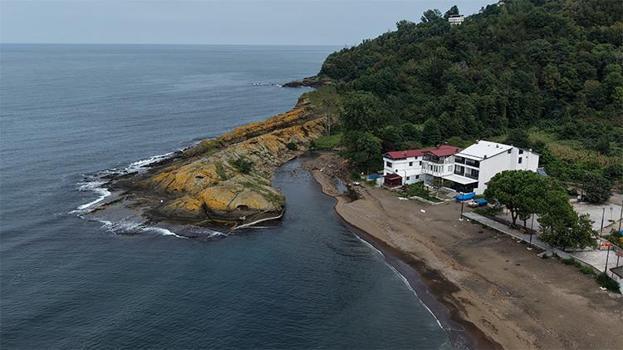 Karadeniz sularında yüzen timsah! Ziyaretçi akınına uğruyor