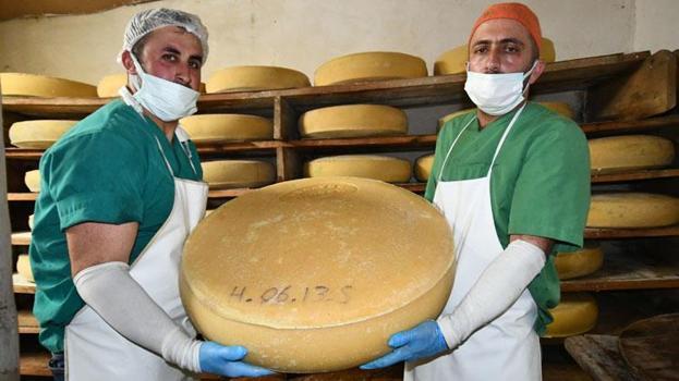 'Peynirlerin kralı' gravyer 13. yüzyıldan beri aynı tekniklerle üretiliyor!
