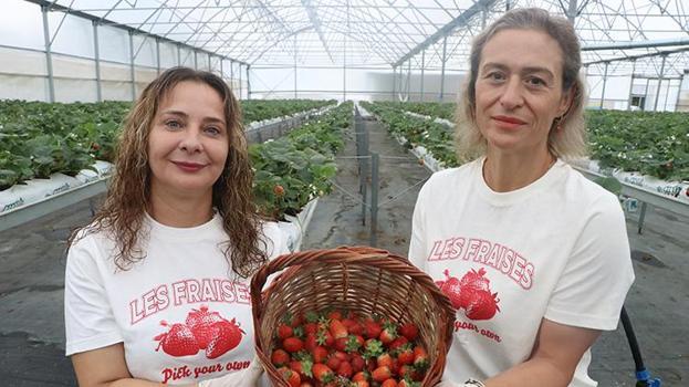 25 yıllık arkadaşlar kafa kafaya verdi topraksız tarımla üretime başladı: Yıllık 15 ton ürün elde etmeye başladı