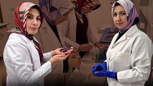 Doğadan toplanıyor, şifa olarak satılacak! 7,5 milyon TL'lik proje katma değer sağlayacak