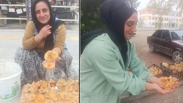 Dağlardan saatlerce yürüyerek toplanıyor! Kilosu 250 TL’ye satılıyor