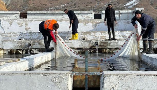 Erzincan’dan 18 ülkeye gönderiliyor! Ülke ekonomisine büyük katkı veriyor