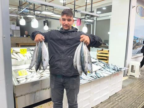 Balık tezgahları en ucuz günlerini yaşıyor! Fiyatı 50 liraya kadar geriledi