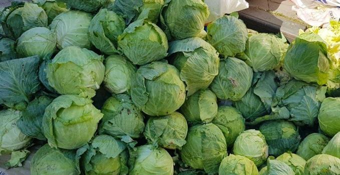 Hasat yıl sonuna kadar sürüyor: Giresun'da coğrafi işaret beklerken dünya tanımaya başladı