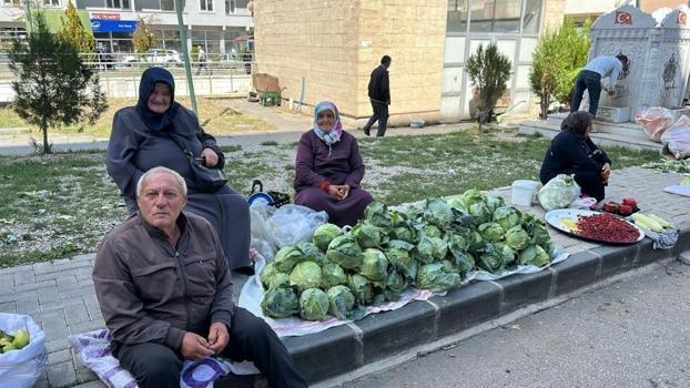Adı Alucra kelemi, lezzeti diğerlerinden farklı! Meşhur lahananın hasadı başladı