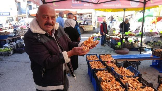 Herkes ormandan toplayıp yiyor! Ama bir hata ölümcül olabiliyor