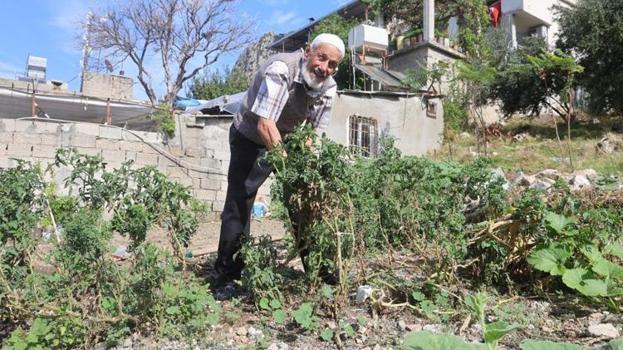 Hasat ettiği ürünleri bedava dağıtıyor! Duyan oraya koşuyor: Sahip Dede enkazın üstüne ekti, kapı kapı ücretsiz dağıttı!