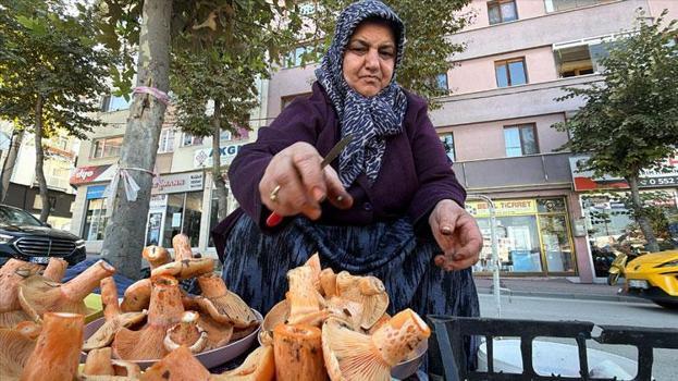 Kilosu 600 liraya satılan kanlıca mantarı vatandaşlardan yoğun ilgi görüyor
