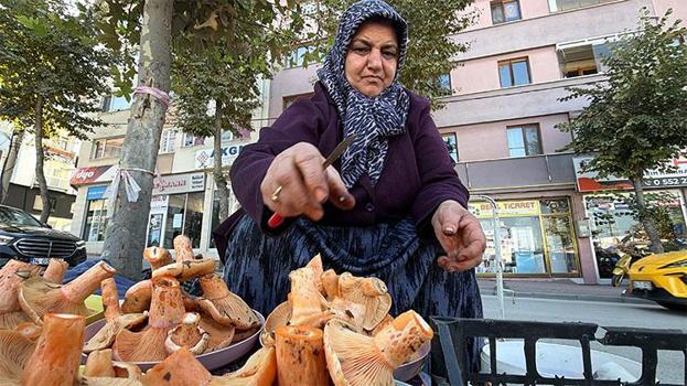 Sabah namazında ormana girip kova kova topluyorlar! Pazarda kilosunu 600 liradan satıyorlar