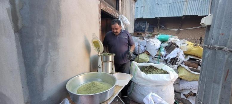 Tam 120 çeşit bitki kullanılıyor: Kemaliye’nin asırlık baharatı Zetrin