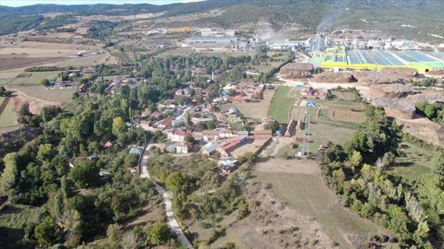 Sadece Kastamonu'da yetişen ve Osmanlı mutfağının vazgeçilmez coğrafi işaretli meyvesi üryani eriğinin hasadı başladı