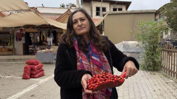 Bereketli hasat zamanı! Fiyatı yarı yarıya düştü