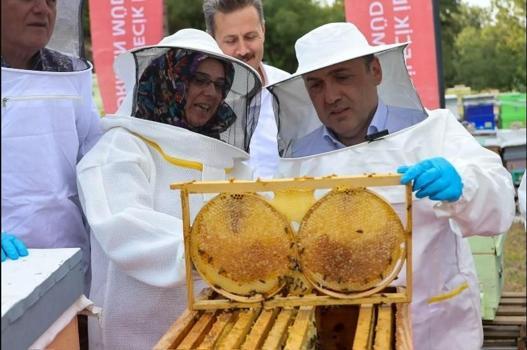Yılda 135 ton üretiliyordu: Bilecik Balı coğrafi işaretle markalaşıyor: Yöre ekonomisine ve arıcılığa büyük destek!