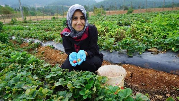 Kahramanmaraş'ta kadın emeğine dev destek: Kızılağaçlı kadınların el emeği lezzetleri yok satıyor!