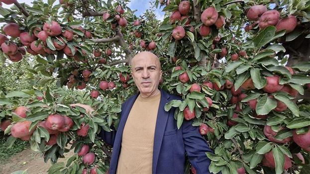 Rekolte tavan yaptı, fiyatlar çakıldı! Kilosu 10 liraya kadar düştü