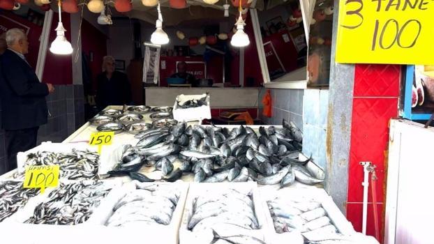 Balık tezgahlarında 21 yıl sonra bir ilk! 3 tanesi 100 TL