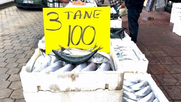 Doğu Karadeniz'de 20 yılın rekor palamut bereketi: Rize'de 3 tane iri palamut 100 liraya düşünce kuyruk oluştu!
