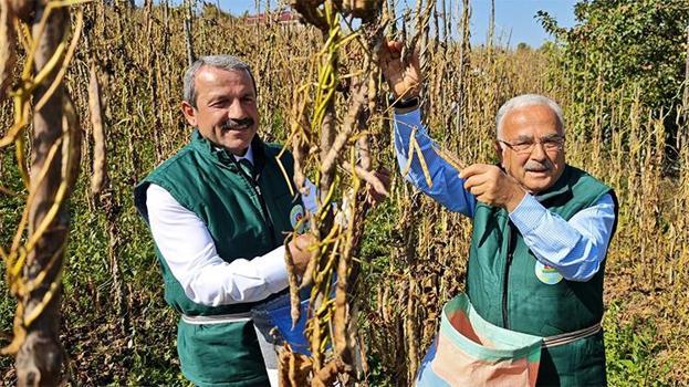 Destekler meyvesini verdi: 25 Tondan 2 Bin 200 Tona! Üretim 88 katına çıktı!