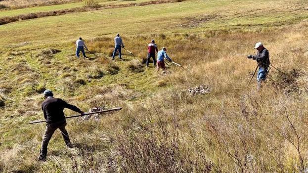 Ardahan’da çetin kış öncesi yüzyıllık gelenek: Traktörün giremediği yamaçlarda tırpanlı son mesai!