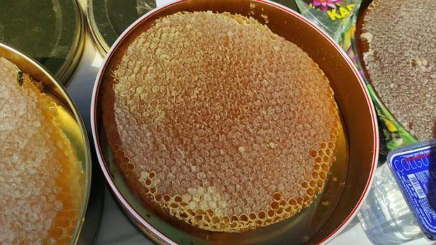 Sason'da rekor fiyata satıldı! 1 kilogramı 400 bin liraya satılan balın bedeli üreticilere teslim edildi