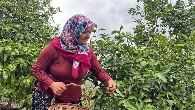 Çocukluk hayali sosyal medya sayesinde gerçekleşti: Köy videolarıyla tanındı, fenomen oldu!