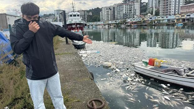 Karadeniz'de palamut bolluğu rezalete dönüştü: Vatandaş evinde yatamıyor