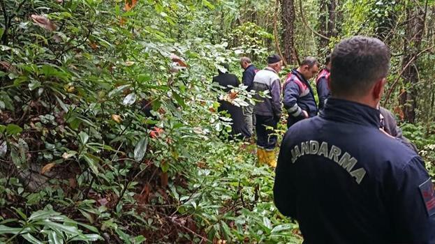 Sakarya'da kestane toplamak için ormana gitti sonrası korkunç