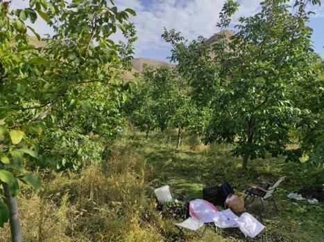 Geçen yıla göre fiyatı değişmedi! Yağ oranı çok yüksek lezzetine doyum olmuyor
