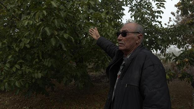 Köylüler hasadın verimli geçmesine sevinemedi! Ellerinde kaldı: Zarar ederiz