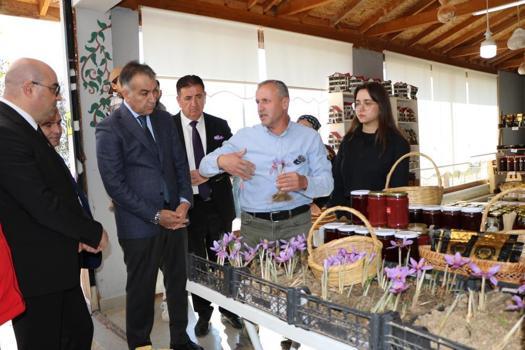 55 kişi üretiyor, 56 kilo rekolte veriyor! Bunu almaya para yetmiyor