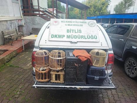 Bitlis’te kaçak avlanan kınalı keklikler doğaya salındı
