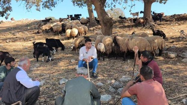 Cudi Dağı eteklerinde çobanlara uygulamalı sürü yönetimi eğitimi: Hayvan hastalıkları ve sürü sağlığı ele alınıyor