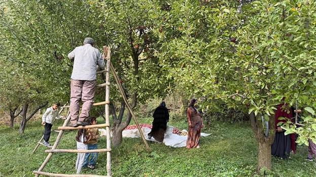Hakkari'de devlet desteğiyle üretime başladı! Şimdi 8 üretim hacmine çıktı