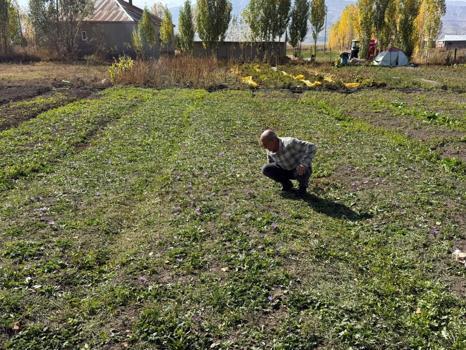 Bu tarlada servet yatıyor! Bir adım attı bütün hayatı değişti