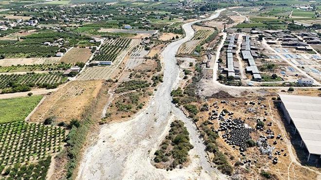 Gediz Nehri eski günlerine döndü! Kuruma noktasına gelmişti