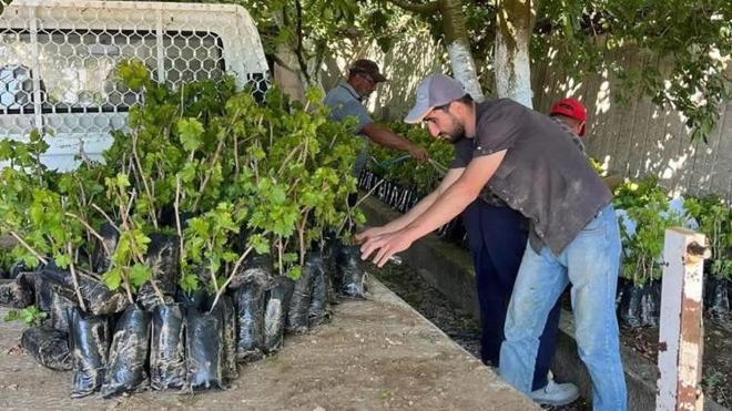 Kimse bu kadarını beklemiyordu! Manisalı 2 kardeş 5 yıl önce başladı şimdi 25 çeşit üreterek talebe yetişemiyor